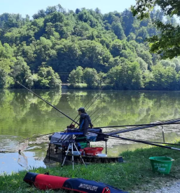Ribiska druzina posavje