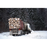 Tilen Lesičar, s.p.