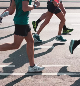 Sportna zveza loska dolina notranjska