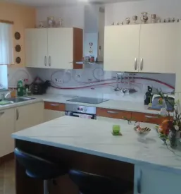 Vrhunski mizar Zasavje