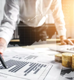 Knjigovodski servis novo mesto dolenjska