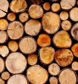 Kvaliteten posek in spravilo lesa Zasavje - pokličite za ponudbo