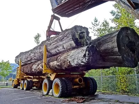 Gozdarske storitve kot kvaliteten posek in spravilo lesa vam v Zasavju nudimo pri nas