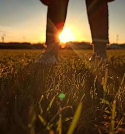 Muzej na prostem sentjernej dolenjska