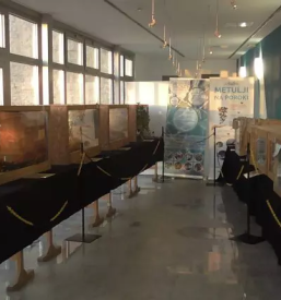 Muzej zivali gorenjska