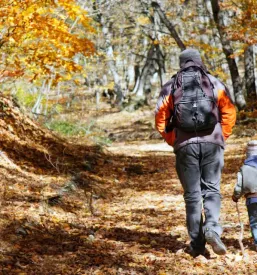 Planinska postojanka bistrica ob dravi