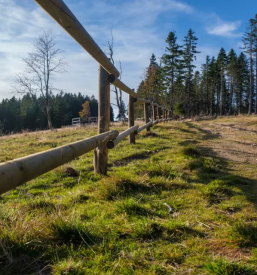 Planinska postojanka bistrica ob dravi
