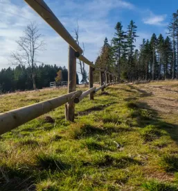 Planinska postojanka bistrica ob dravi