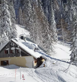 Planinsko društvo Žirovnica