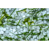 GM AVTO, MATEJ GORJUP S. P., POPRAVILO VOZIL PO TOČI