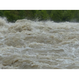 Prostovoljno gasilsko društvo Sveti Vid