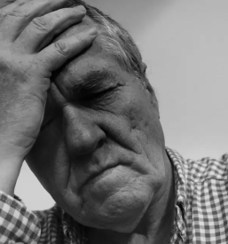 Socialno svetovanje štajerska