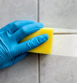 Dober cistilni servis zasavje