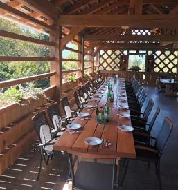 Domaca gostilna kocevje