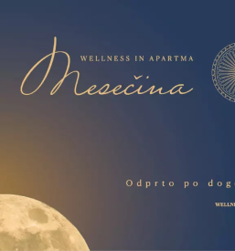 Najem apartmaja Podravska