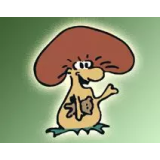 Prodajalna Jurček, prodajalna z obutvijo in igračami, d.o.o.