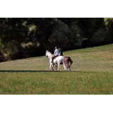 PONIJI S KLANCA, OŽBE ŠTEBLAJ S.P.