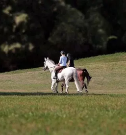 Sola jahanja vrhnika