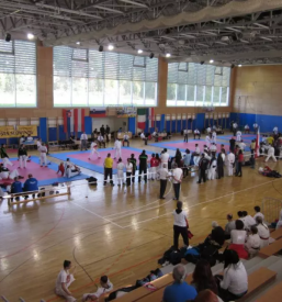Karate klub Branik vodi šolo karateja v Mariboru