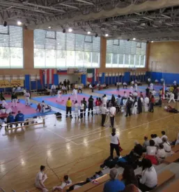 Karate klub Branik vodi šolo karateja v Mariboru