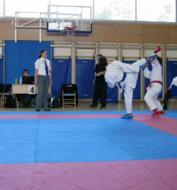 Karate klub Branik
