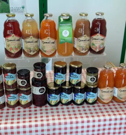 Trgovina s sadjem in zelenjavo ljubljana center