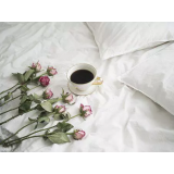 MILKA BREC - SOBODAJALKA