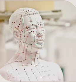 Bioresonanca in naturopatija dolenjska