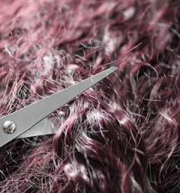 Frizerski salon volcja draga