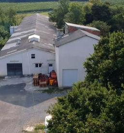 Konzerviranje vrtnin primorska