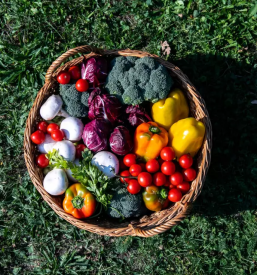 Konzerviranje vrtnin primorska