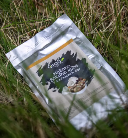 Konzerviranje vrtnin primorska