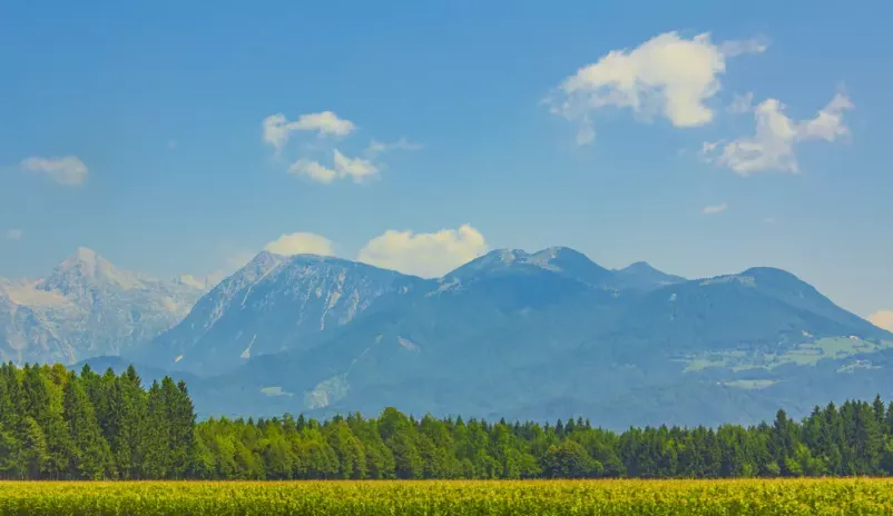 Dejavnosti Medobčinske turistične zveze Slovenska Bistrica