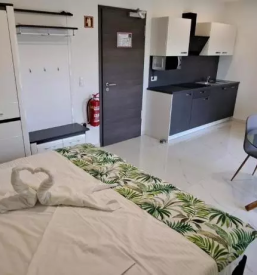 Ugoden najem apartmaja s savno in jacuzzijem Gornja Radgona