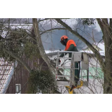 MOJSTER POLH, UROŠ POLH S.P.