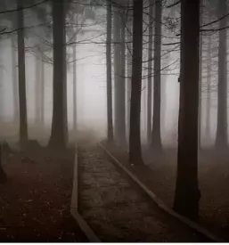 Odrivna hidravlicna rampirna deska slovenija