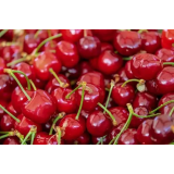 SADJARSTVO VRECL, GIZELA VRECL GAJŠEK