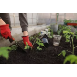 BISERA KOŠTIĆ S.P.