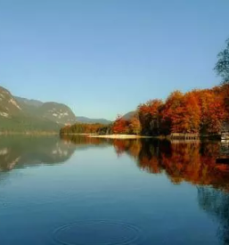 Apartma pri lipi bohinjska bistrica bohinj