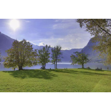 MARKO KOVAČIČ - SOBODAJALEC