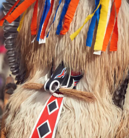 Apartments terme ptuj slovenia