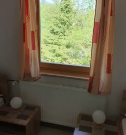 Dober apartma bohinjsko jezero