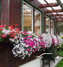 Dvosobni apartma gozd martuljek gorenjska