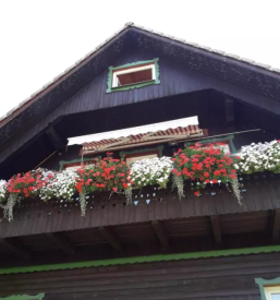 Dvosobni apartma gozd martuljek gorenjska