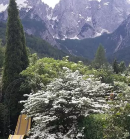 Dvosobni apartma gozd martuljek gorenjska