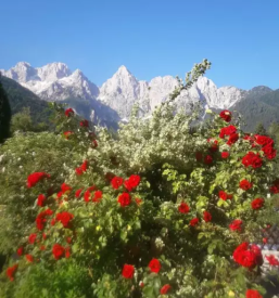 Dvosobni apartma gozd martuljek gorenjska