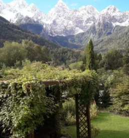 Dvosobni apartma gozd martuljek gorenjska