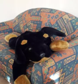 Dvosobni apartma gozd martuljek gorenjska