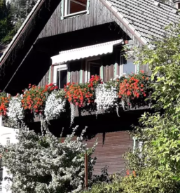 Dvosobni apartma gozd martuljek gorenjska