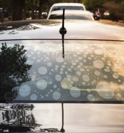 Mednarodni prevozi pokojnikov po evropi